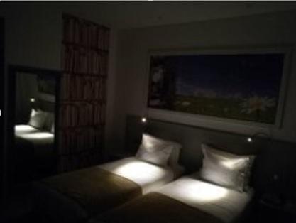Superior Double or Twin Room,685324881:JPEG